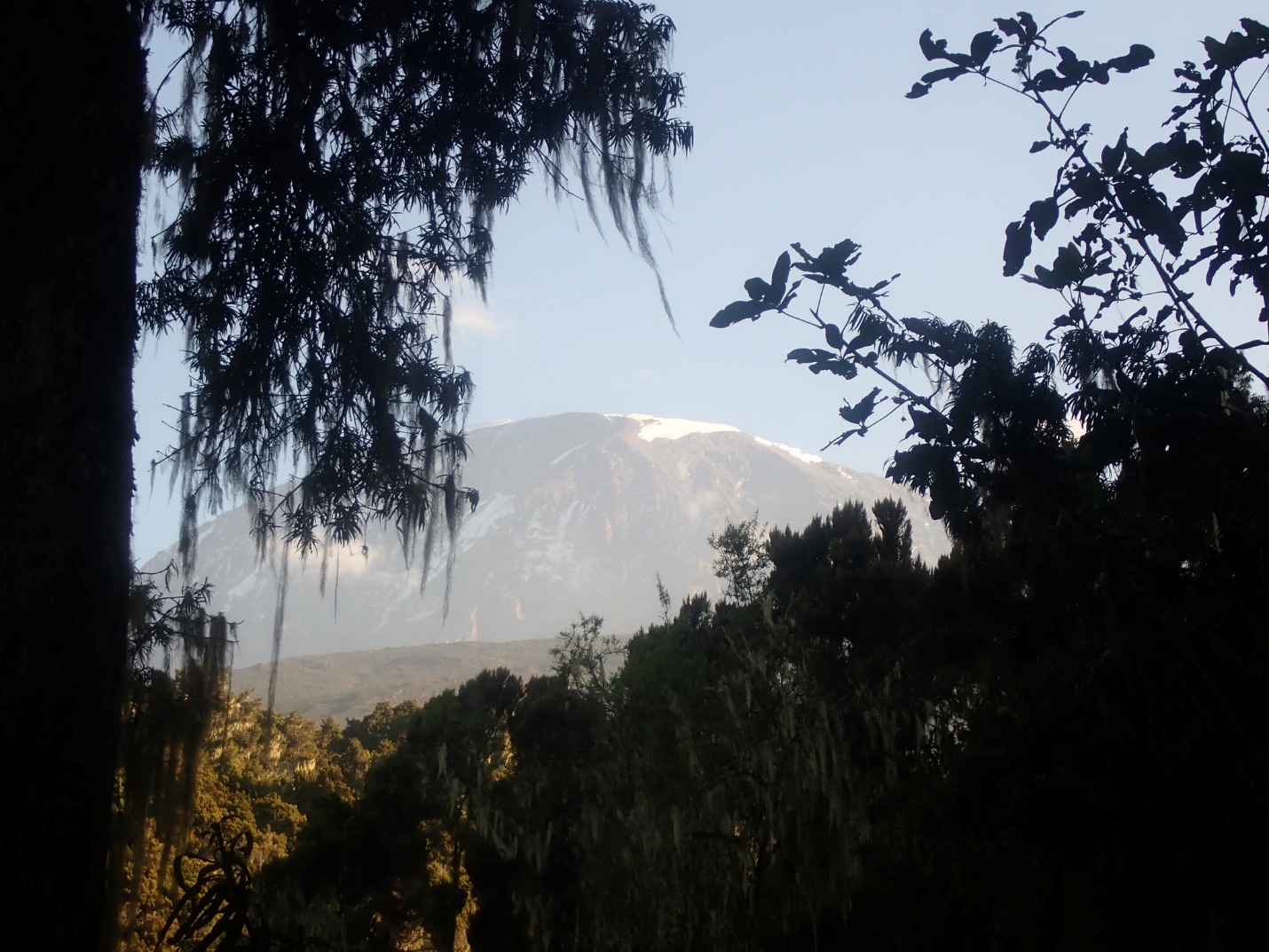 Mt Kilimanjaro Lemosho Route – 8 days