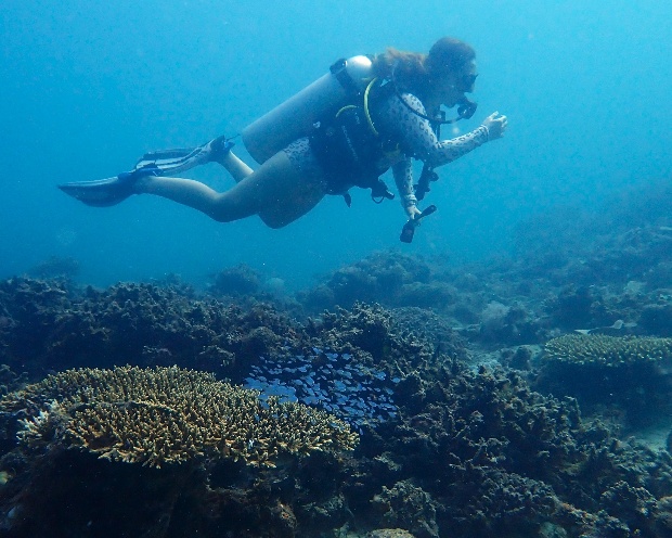 Diver over reef