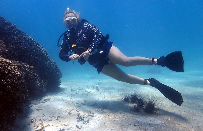 Scuba diver underwater